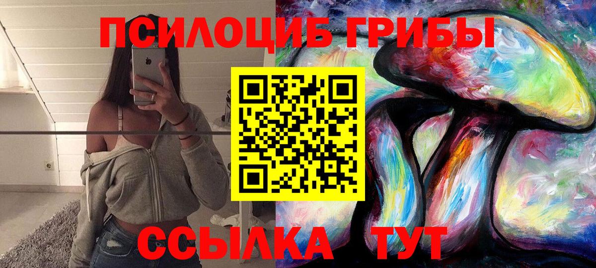 Гай  Псилоцибиновые грибы Psilocybe  Вход с VPN 